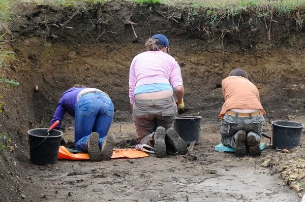 archeological excavation and digging in the field, research and history