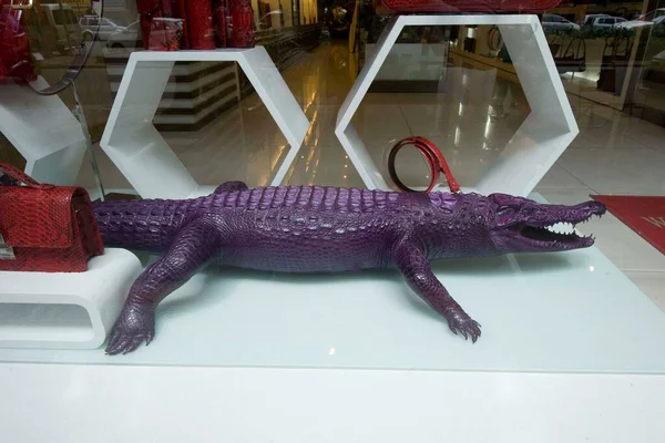 Krokodilbőr Amiért Krokodilokat Aligátorokat Védeni Kell — Stock Fotó