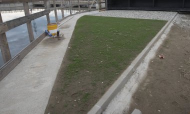 İnşaattaki bitki ve çiçekler, mimari ve doğanın ortak yaşamı