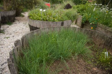 Bir bahçe ki, içinde bitkiler ve bitkiler var.