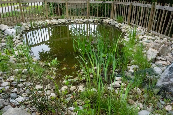 Estanque Jardín Paisaje Natural Con Agua Plantas — Foto de Stock