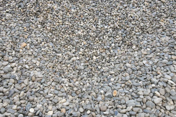 돌이나 자연계의 — 스톡 사진