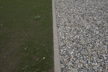 İnşaattaki bitki ve çiçekler, mimari ve doğanın ortak yaşamı