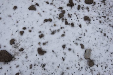 Bir yüzeydeki biyomorf şekiller ve yapılar, desen ve doku