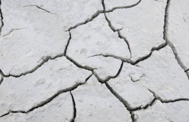 Bir yüzeydeki biyomorf şekiller ve yapılar, desen ve doku