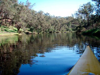 Yazın Avustralya 'da bir nehirde kano gezisi.