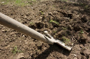 bir kürek ya da kürek bahçe işi için bir araçtır