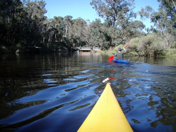 Kanotocht Een Rivier Zomer Australië — Stockfoto