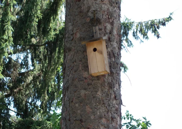 Vogelkooi Vogelhuis Voor Het Huisvesten Van Vogels Als Gezelschapsdier — Stockfoto