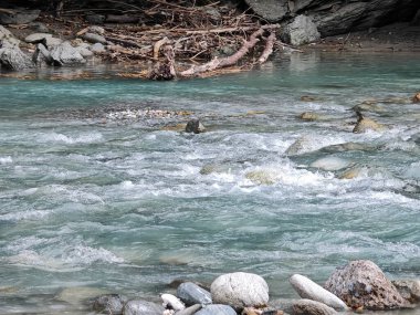 Su saf ve doğal, duyuların ahengi olmalı.