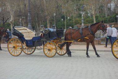 Atlar tarafından çekilen araba eski bir gelenektir.