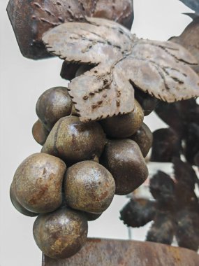 Üzümlerden bağlar, yeşil ve tatlı meyveler,