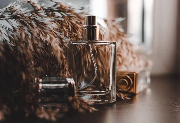 Mannelijke Vrouwelijke Parfum Een Donkere Houten Achtergrond Met Een Takje — Stockfoto