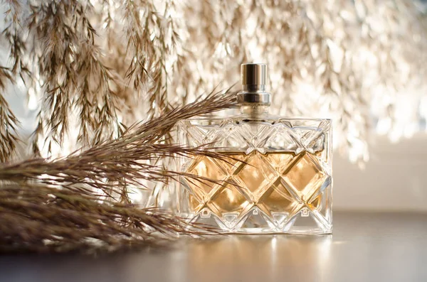 Women Perfume Background Reed Flowers — Stock Photo, Image