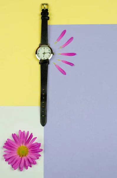 Señoras Elegantes Reloj Sobre Fondo Color Con Lugar Para Texto —  Fotos de Stock