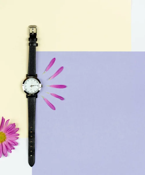 Señoras Elegantes Reloj Sobre Fondo Color Con Lugar Para Texto —  Fotos de Stock