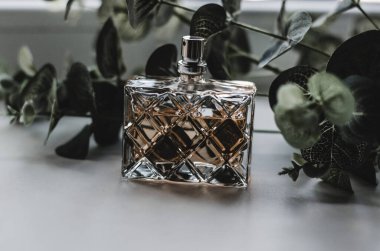 Okaliptüs yapraklarının üzerinde bir şişe kadın parfümü.