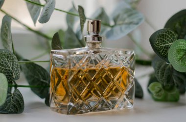 Okaliptüs yapraklarının üzerinde bir şişe kadın parfümü.