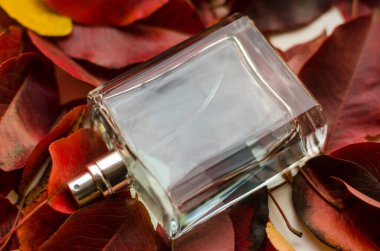 Erkeklerin parfümü kırmızı yaprakların üzerinde. Sonbahar yapraklarının arka planında erkek parfümü