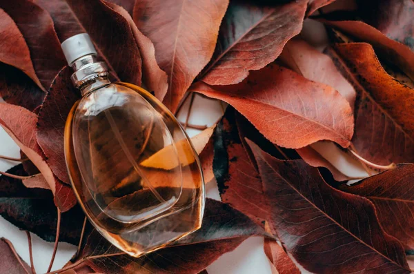 A bottle of women\'s perfume on red leaves. Perfume on a background of leaves