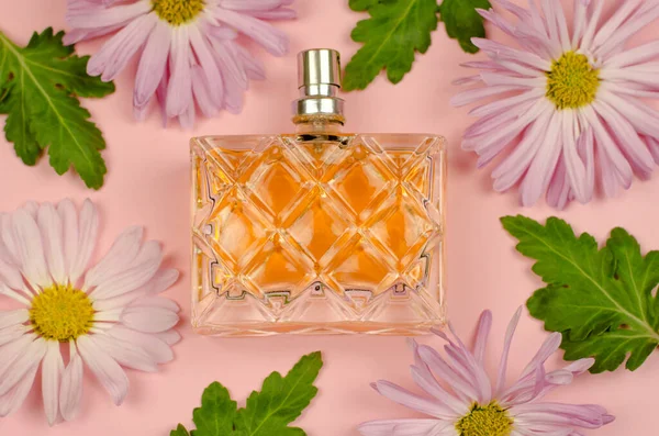 Damskie Perfumy Różowym Tle Kwiatami Liśćmi Chryzantemy Widok Góry — Zdjęcie stockowe