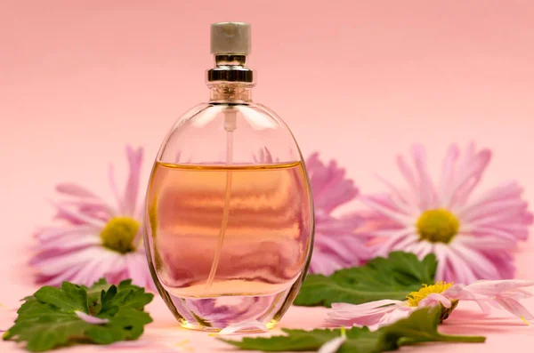 Women\'s perfume and flowers on a pink background