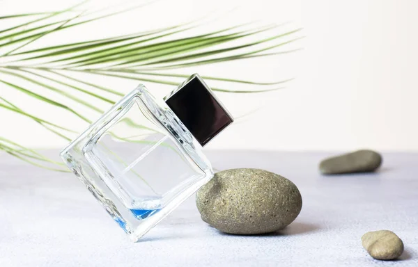 Bottle of men's perfume on a gray stone on a beige background with a palm branch