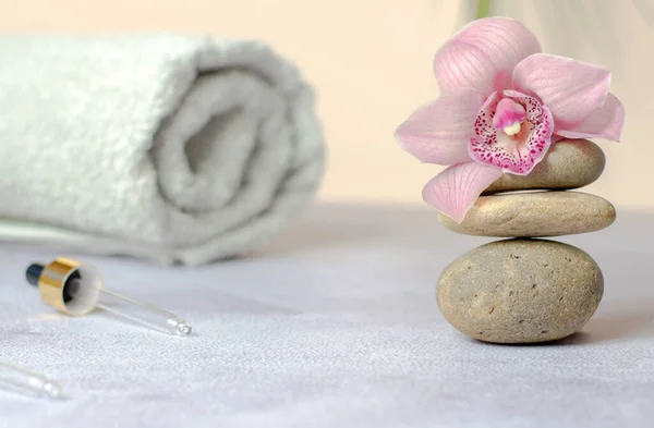 Composition Natural Stones Rolled White Towel Pink Orchid Flower Beauty — Stock Photo, Image