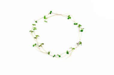 Beyaz bir zemin üzerinde taze hardal mikroyeşillikleri ve metin için yer var. Vegan ve sağlıklı gıda konsepti