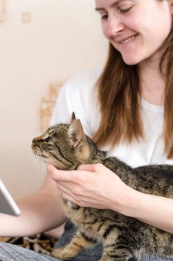 Güzel bir tekir kediyi okşuyor ve tabletle internet üzerinden iletişim kuruyor.