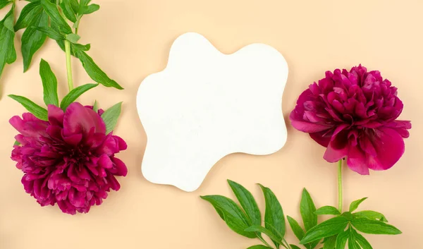 Pódio Gesso Branco Para Publicidade Produtos Cosméticos Flores Peônia Fundo — Fotografia de Stock