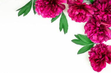 Şakayık yaprakları ve çiçeklerin bahar arkaplanı. Tebrik kartı için boş metin yeri, üst görünüm