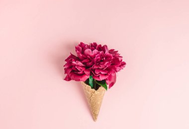 Pembe arka planda dondurma için waffle fincanındaki şakayık çiçeği. Bahar ve yaz konsepti, minimalizm. Boşluğu kopyala.