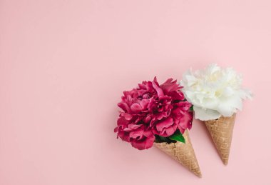 Beyaz ve pembe şakayık çiçekli bir waffle fincanında dondurma için pembe arka planda. Bahar ve yaz konsepti, minimalizm. Boşluğu kopyala.