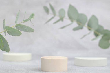 Ürün sunumu için geometrik şekilli podyum. Okaliptüslü kozmetik ürünlerin reklamları için boş bir vitrin. Model
