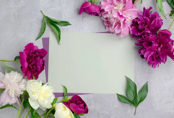 Carta Bianca Fiori Peonia Vuoto Biglietto Auguri Invito Sfondo Fiore — Foto Stock