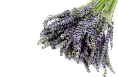 Beyaz arka planda bir demet lavanta çiçeği.