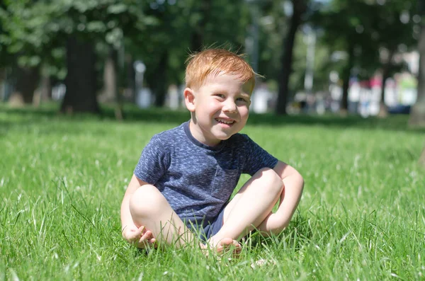 Piccolo Ragazzo Dai Capelli Rossi Siede Nel Parco Sul Prato — Foto Stock