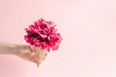 Dondurma için waffle fincanı. Elinde şakayık çiçeği olan bir kadın. Yaz ve yaz hediyeleri konsepti