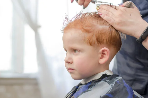 Child in a hairdressing salon. The hands of a hairdresser are cutting a 4-year-old boy. Red-haired boy has a haircut — Zdjęcie stockowe