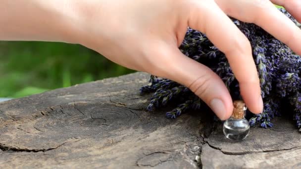 Eine Frauenhand arrangiert Flaschen mit ätherischem Lavendelöl auf dem Hintergrund eines Lavendelstraußes. Naturkosmetikkonzept — Stockvideo