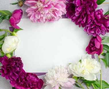 Bir tebrik kartı ya da davetiye için boşluk. Şakayık desenli beyaz bir kağıt. Metin için boşluk olan boş bir kağıdın üst görünümü. çiçek bileşimi