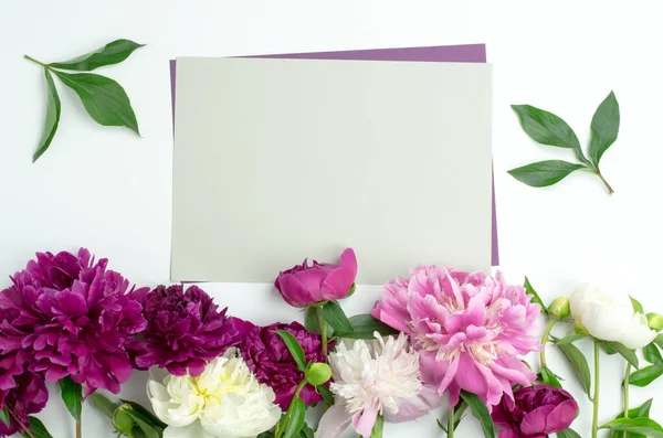 Foglio Grigio Carta Una Struttura Peonie Vuoto Biglietto Auguri Invito — Foto Stock