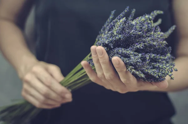 Bouquet Fresh Lavender Flowers Female Hands Woman Holding Large Bouquet — Stock Photo, Image