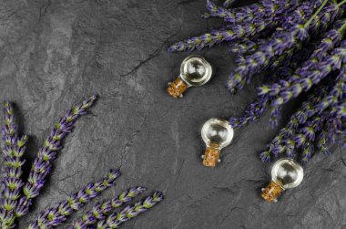 Lavanta yağlı şişeler ve doğal taştan arka planda taze lavanta buketleri. Doğal İlaçlar