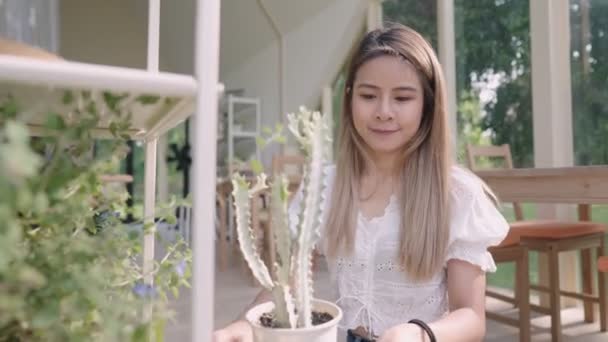 Close Portrait Joyful Female Florist Store Manager Working Own Plants — Stock Video