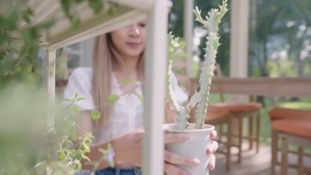 Joven Hembra Adulta Haciendo Trabajo Jardinería Dentro Plantación Invernaderos Cuidar — Vídeos de Stock