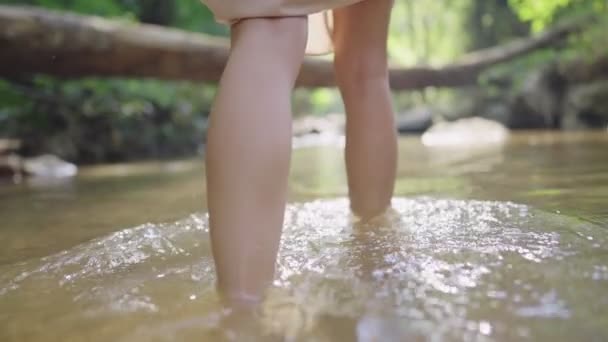 암컷은 개울을 걸으며 자연으로부터의 평온하고 천연자원 즐기며 운하를 암컷의 아름다운 — 비디오