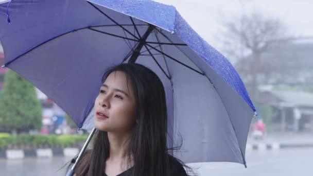 一名年轻美丽的亚裔妇女站在路边 在热带台风造成的雨天 她手持蓝色的雨伞 等待城市路边的公共汽车 天气预报 感冒和流感的预防 — 图库视频影像