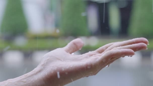 Zbliżenie Ręki Łapie Krople Deszczu Odczuwa Deszcz Dotyka Natury Żyje — Wideo stockowe